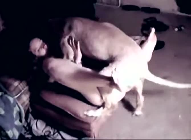 Video :Animal sex video of dog pounding girl's pussy with its dick